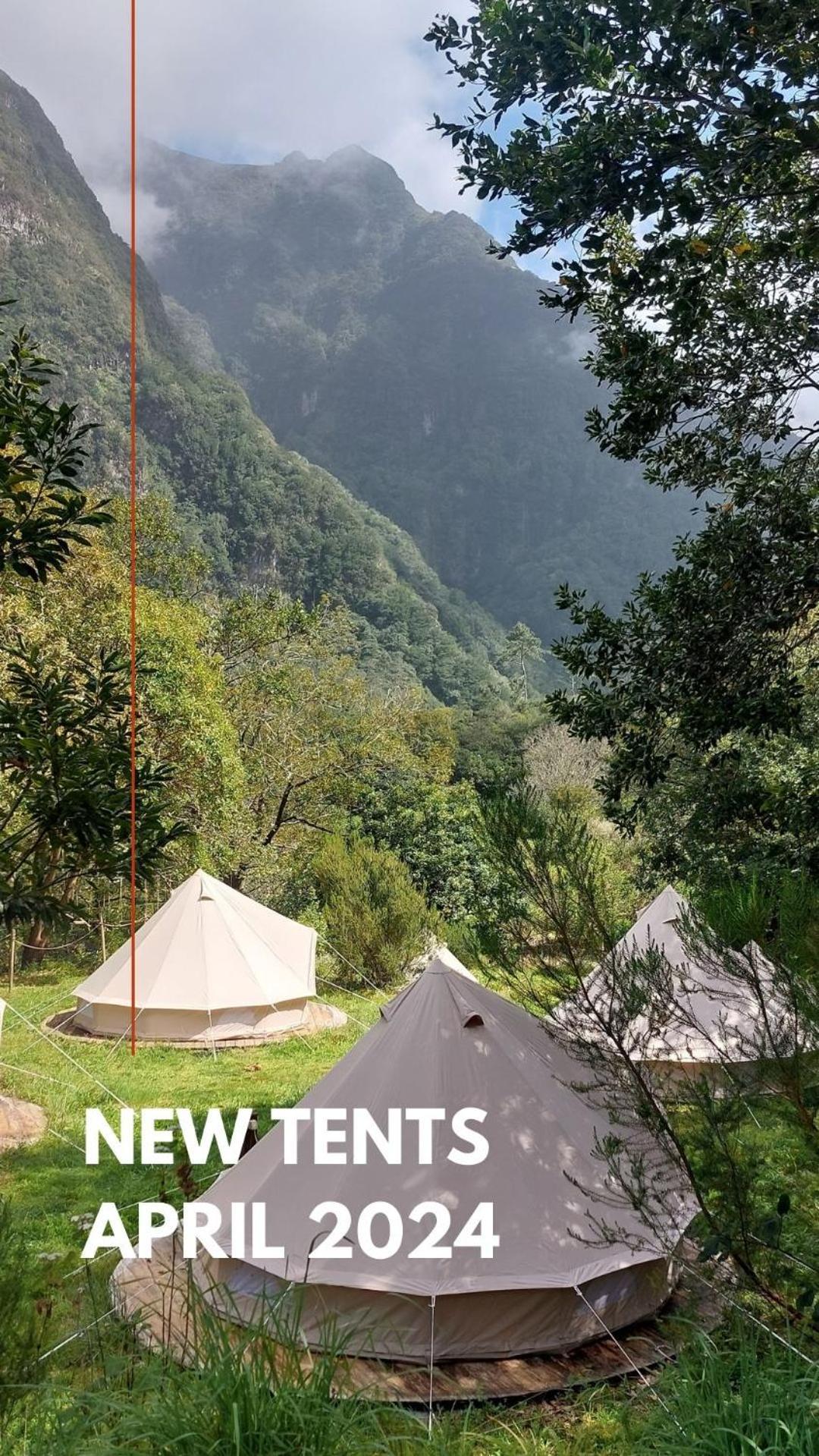 Nature Retreat - Laurel Forest Seixal  Bagian luar foto