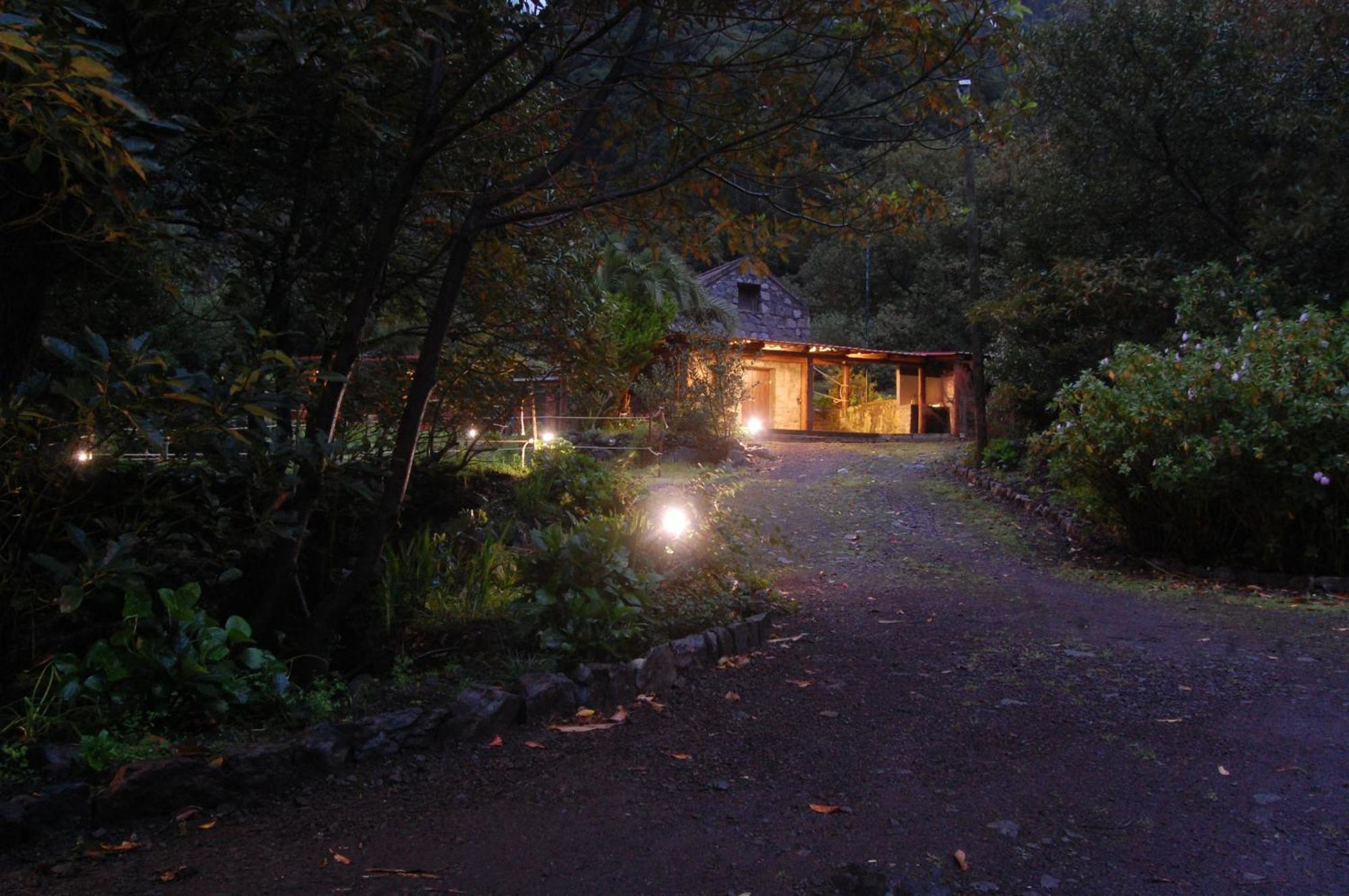 Nature Retreat - Laurel Forest Seixal  Bagian luar foto
